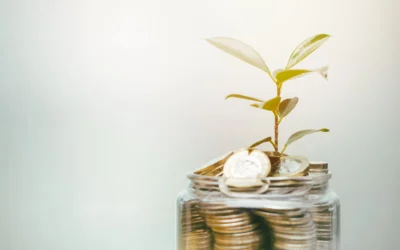 Hacer tu vivienda amigable con el medio ambiente y tu bolsillo